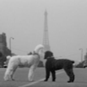 Meet your Posher, Eva